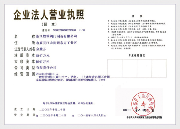 营业执照副本